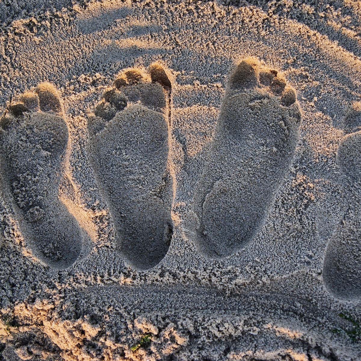 Private Blog Networks(PBN) Services 3 Private Blog Networks(PBN) Footprints