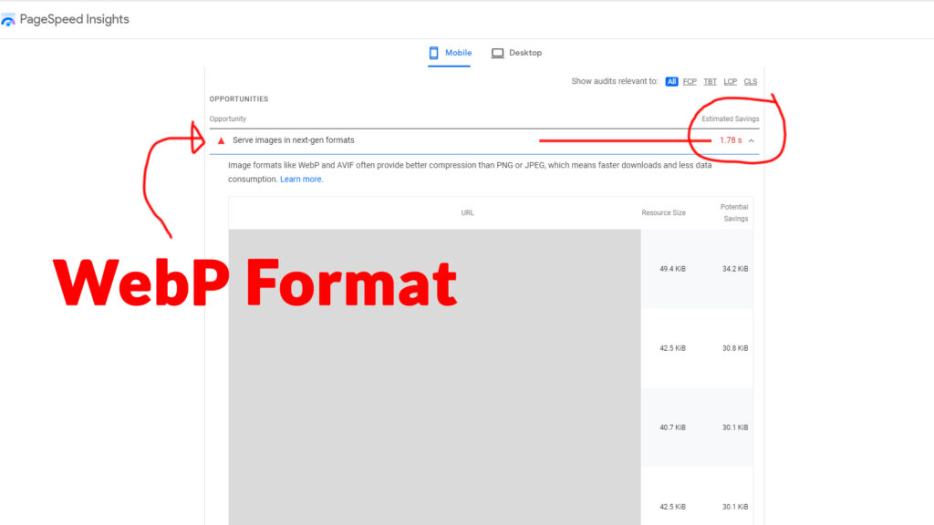 Google Speed Test Recommendation for Webp Image Conversion