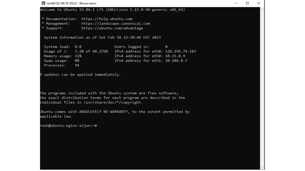 How To Install Linux, Nginx, MySQL, PHP - Bitvise Terminal Console