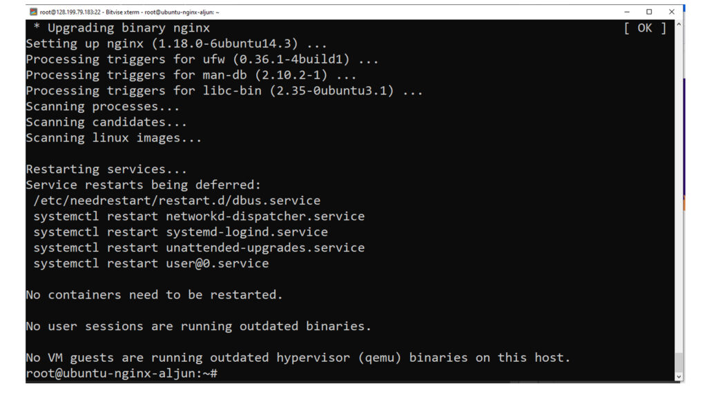 How To Install Linux, Nginx, MySQL, PHP - NGINX successfully installed