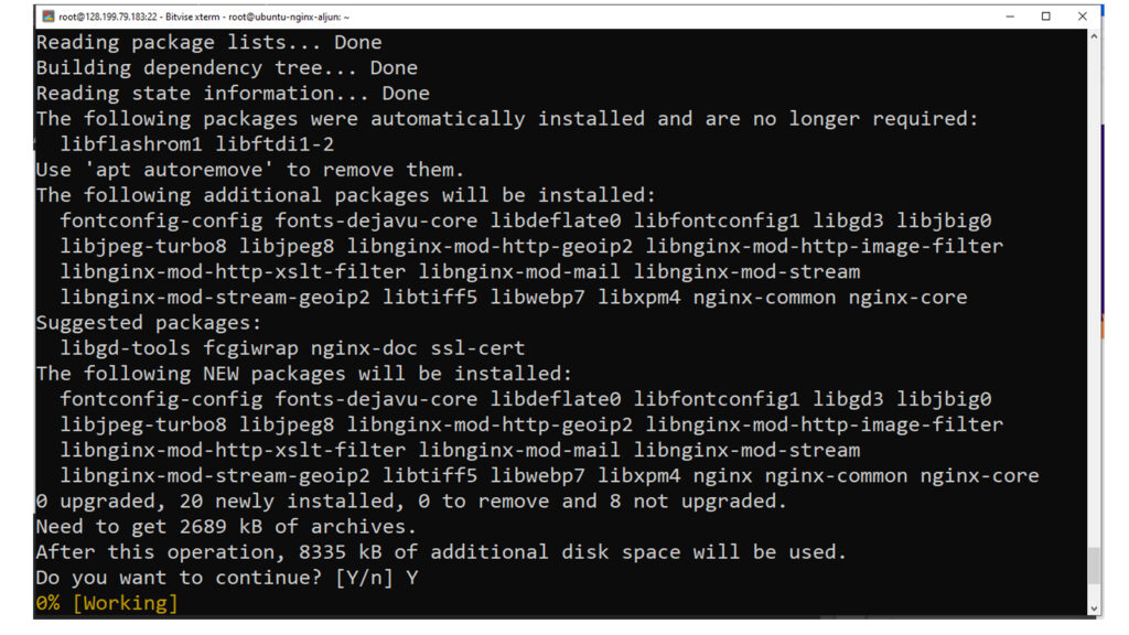 How To Install Linux, Nginx, MySQL, PHP - Type Y and press enter to continue install NGINX