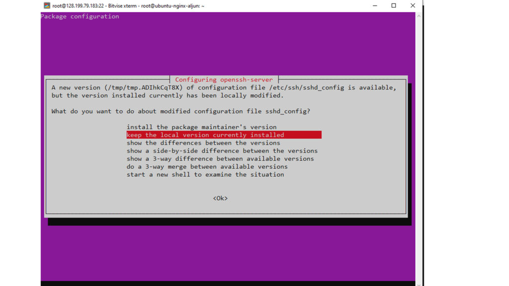 How To Install Linux Nginx MySQL PHP apt upgrade 1 okay