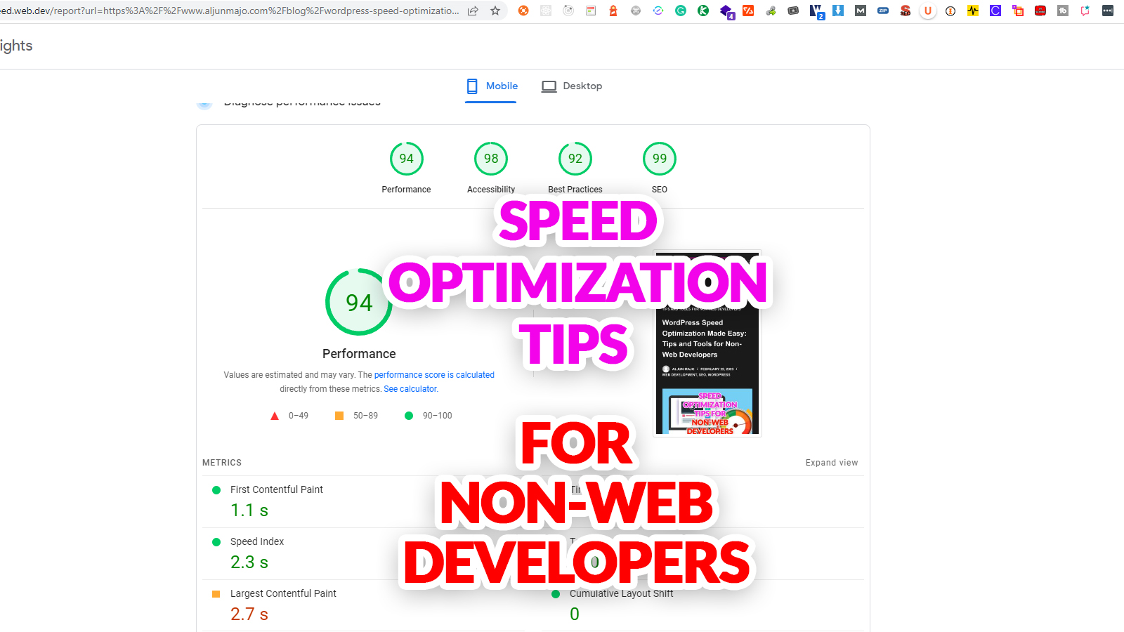 WordPress Speed Optimization Made Easy - PageSpeed Insights - Google Core Web Vitals