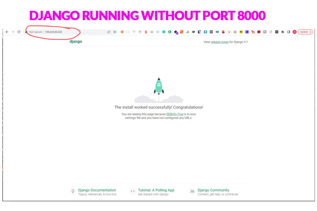 Django Running Without PORT 8000