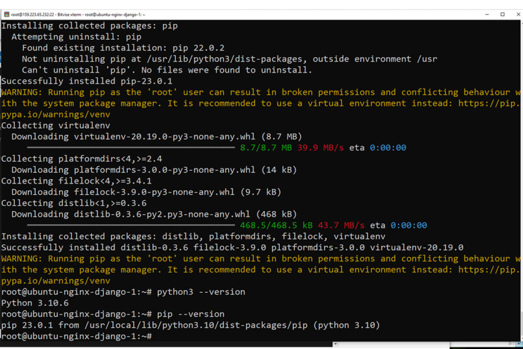 Python and Pip Version