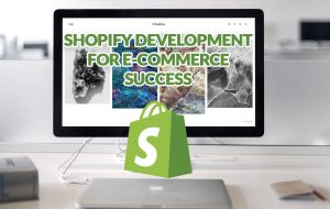 Shopify Development Strategies