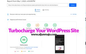 Turbocharge Your WordPress Site Expert Tips for Lightning-Fast Performance
